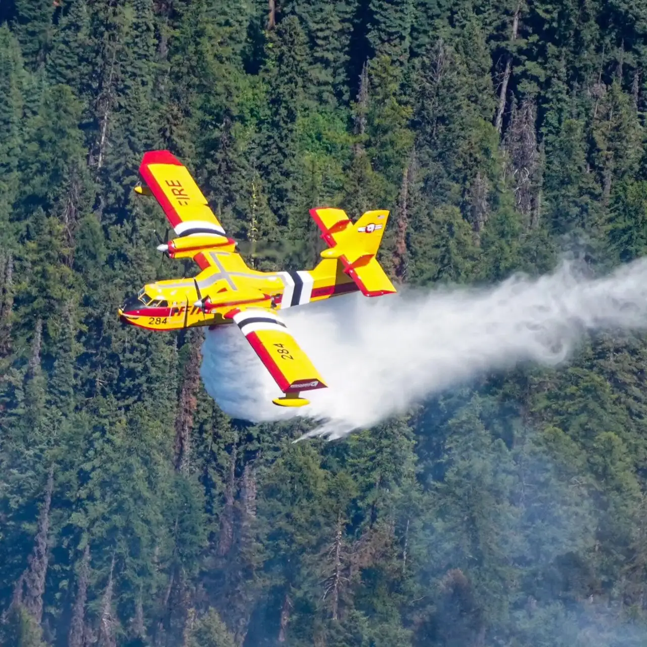 Ein gelbes Löschflugzeug wirft Wasser über einem brennenden Wald ab