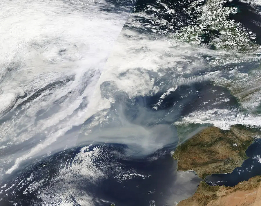 Satellitenbild von Waldbrandrauch über dem Ozean